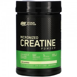 Optimum Nutrition Creatine Powder (1200 грамм)