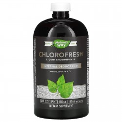 Nature's Way, Chlorofresh, жидкий хлорофилл, 480 мл