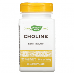 Choline, Nature's Way, 500 мг, 100 капсул