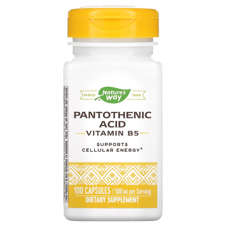 Pantothenic Acid, Nature's Way, 250 мг, 100 капсул