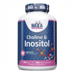 Choline & Inositol, Haya Labs, 500 мг, 100 вег. капсул