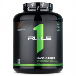 Mass Gainer, Rule 1, 2.6 кг