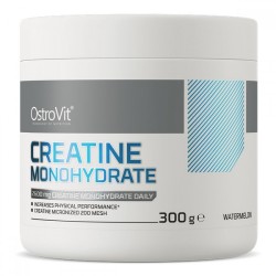 Creatine Monohydrate, OstroVit, 300 г