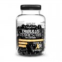 Tribulus Terrestris 95%, Evolite, 60 капсул