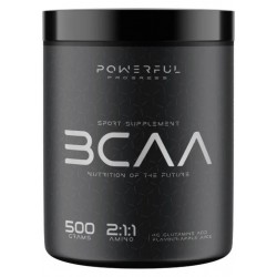 BCAA 2:1:1 + Glutamine, Powerful Progress, 500 г