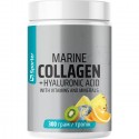 Sporter Marine Collagen + Hyaluronic Acid, 300 г